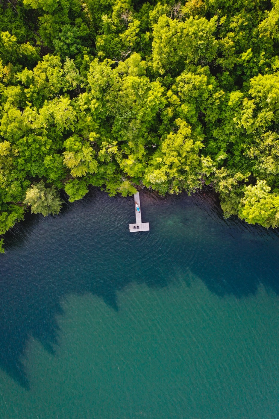 Black Oak Lodge evening view with warm lighting